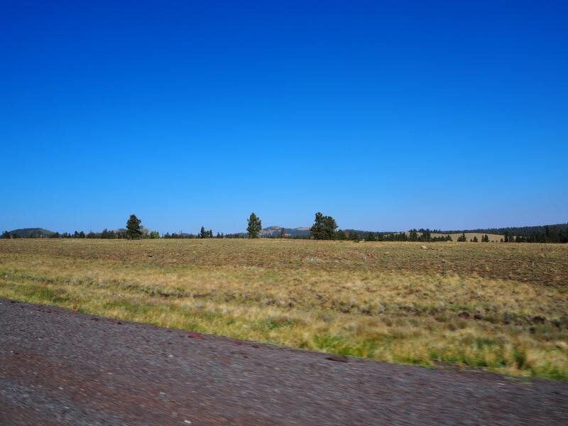 PA031050.jpg
