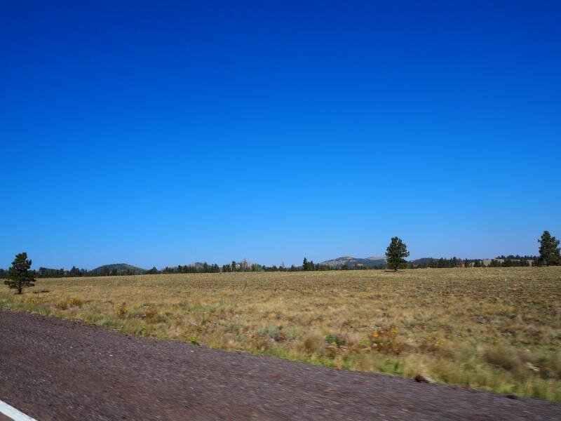 PA031052.jpg