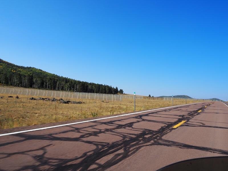 PA031054.jpg
