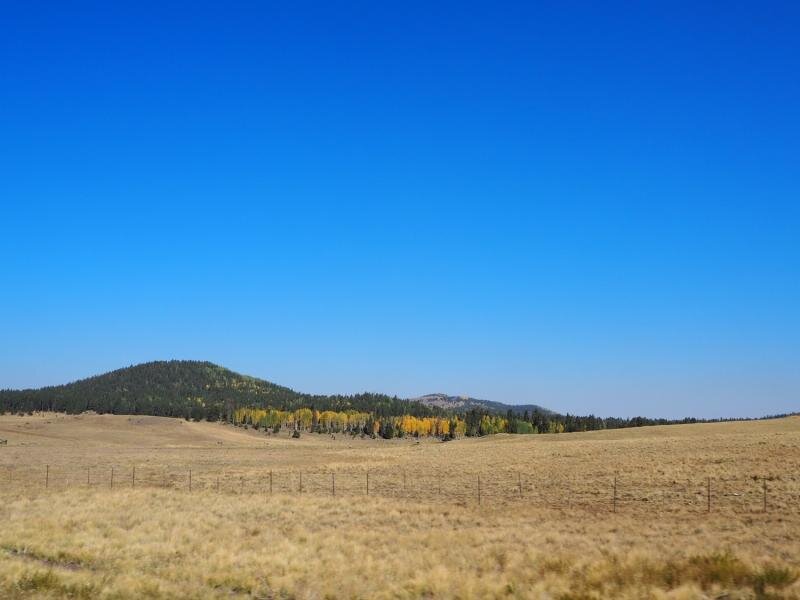 PA031061.jpg