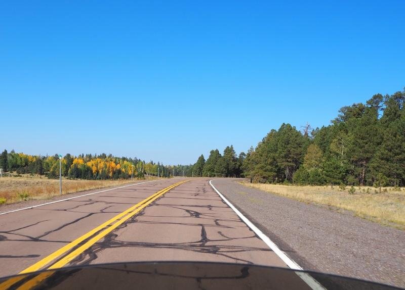 PA031067.jpg
