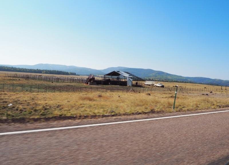 PA031073.jpg