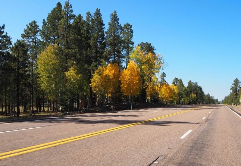 PA031075.jpg