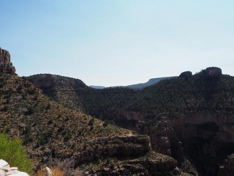 PA031083.jpg