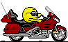 Rons Bike_01.gif