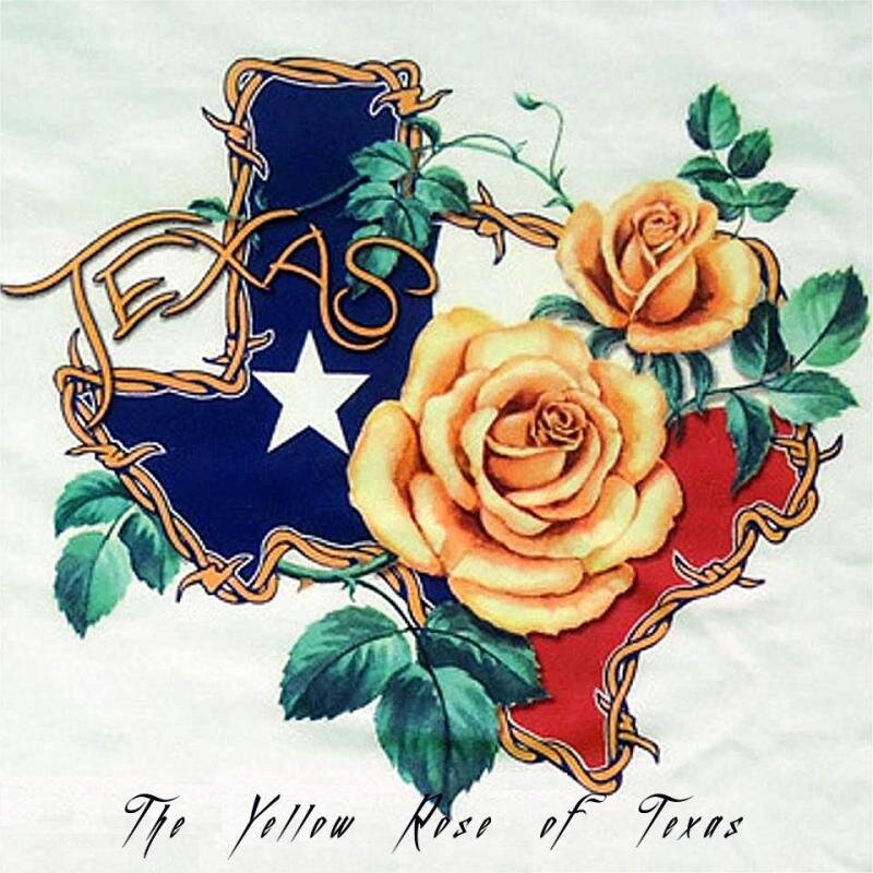 Rons Yellow Rose of Texas.jpg