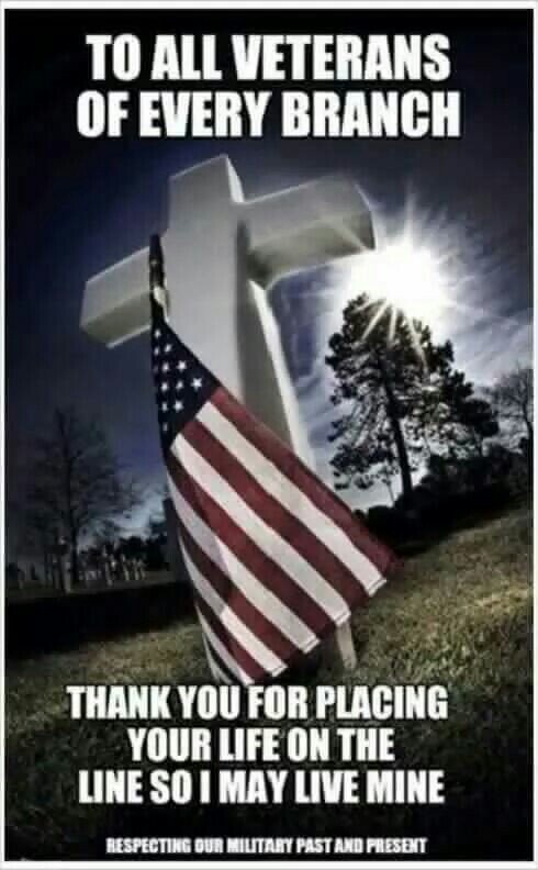 to-all-veterans-of-every-branch-day-meme.jpg