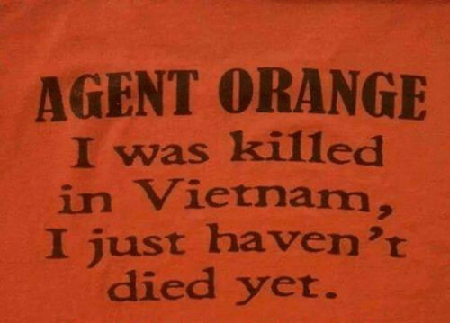 Agent Orange Deadly.jpg