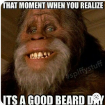 Beard Day.png