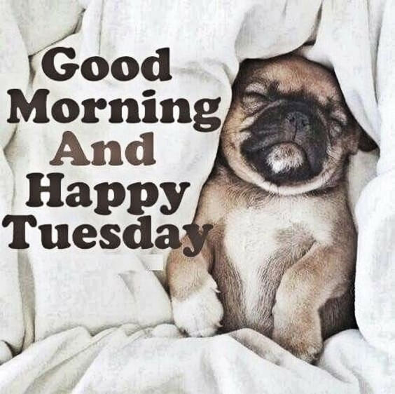 637996124_happytuesday.jpg