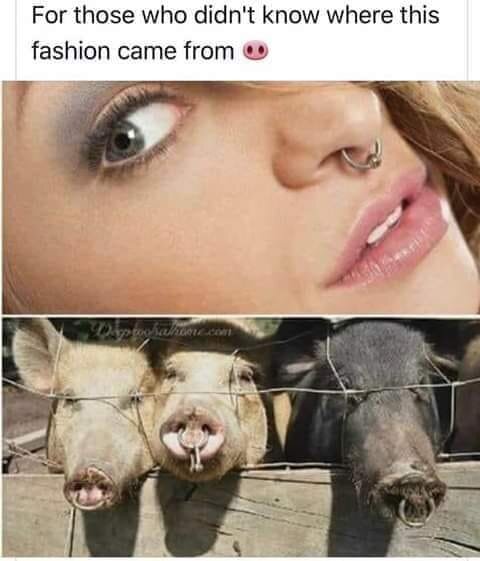 Face rings.jpg