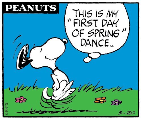 Snoopy.jpg