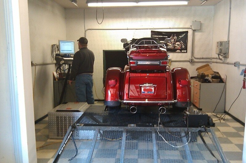 tgondyno(1).jpg