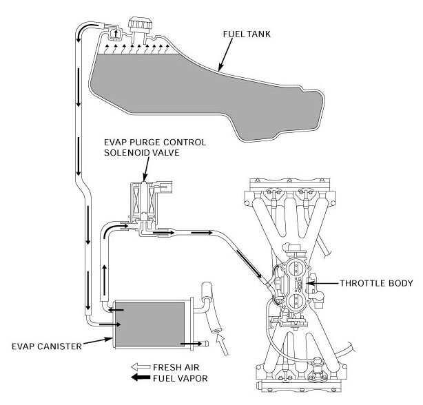 Evaporative system diagram.jpg Evaporative system diagram.jpg