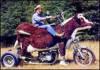 redneck_cow-a-saki.jpg