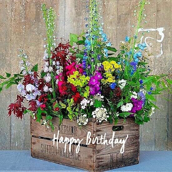 hbwildflowers.jpg