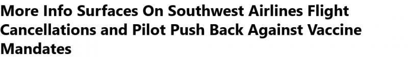 More Info Surfaces On Southwest Airlines Flight Cancellations and Pilot Push Back Against[...].jpg