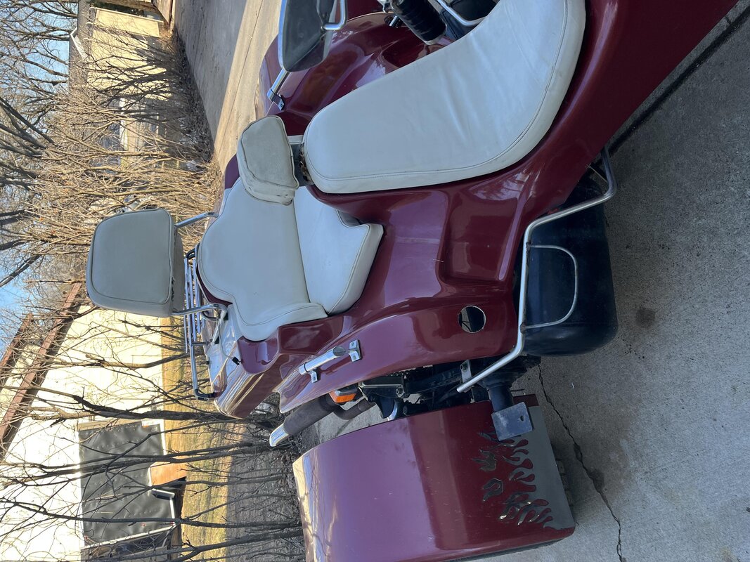 IMG_0113.jpg IMG_0113.jpg