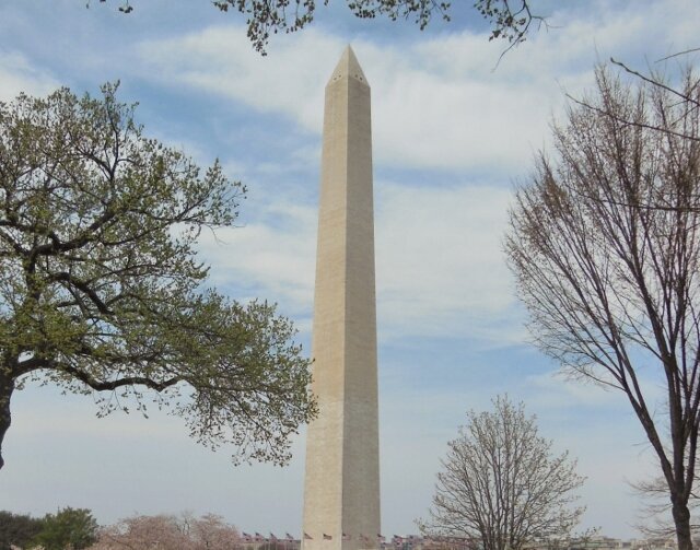 T4 (640x503).jpg