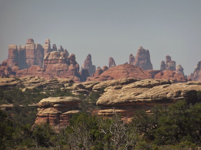 Needles (640x480).jpg