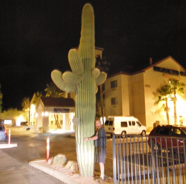 Saguaro (640x634).jpg
