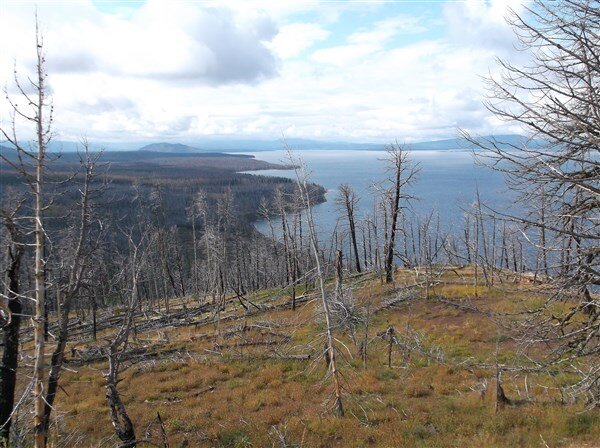 c13- veiw of yellowstone lake from overlook near lake village.JPG.jpg