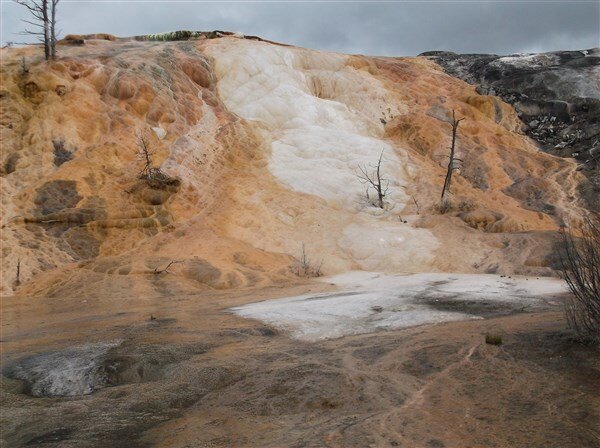 j8-lower level mammoth hot springs-yellowstone park 2014.jpg