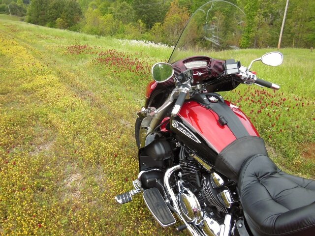 F6 (640x480).jpg