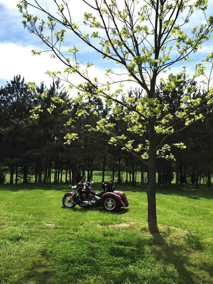 Trike in field.JPG