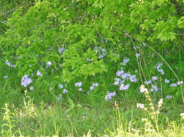 F5 (640x479).jpg