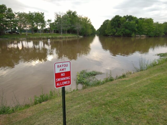 Bayou1 (640x480).jpg