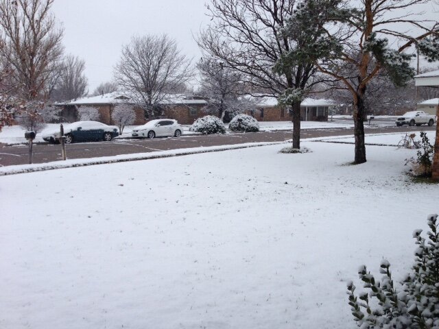 snow.JPG