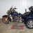buckeye roadking