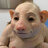 Dpigguy