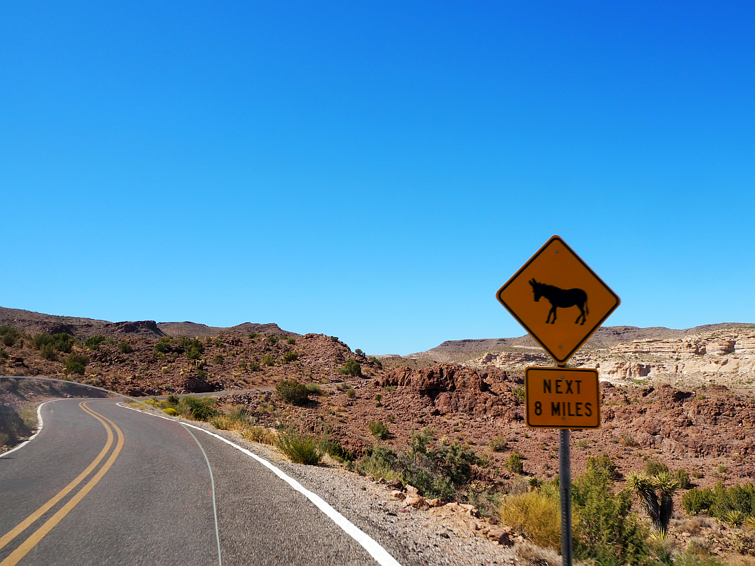 68-better%20burro%20sign.png