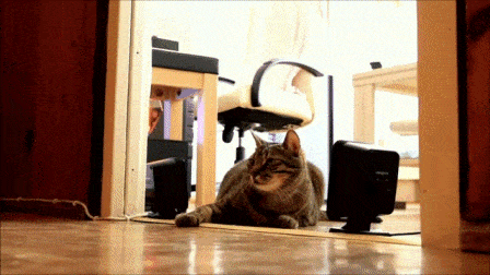 1734451728_24.gif