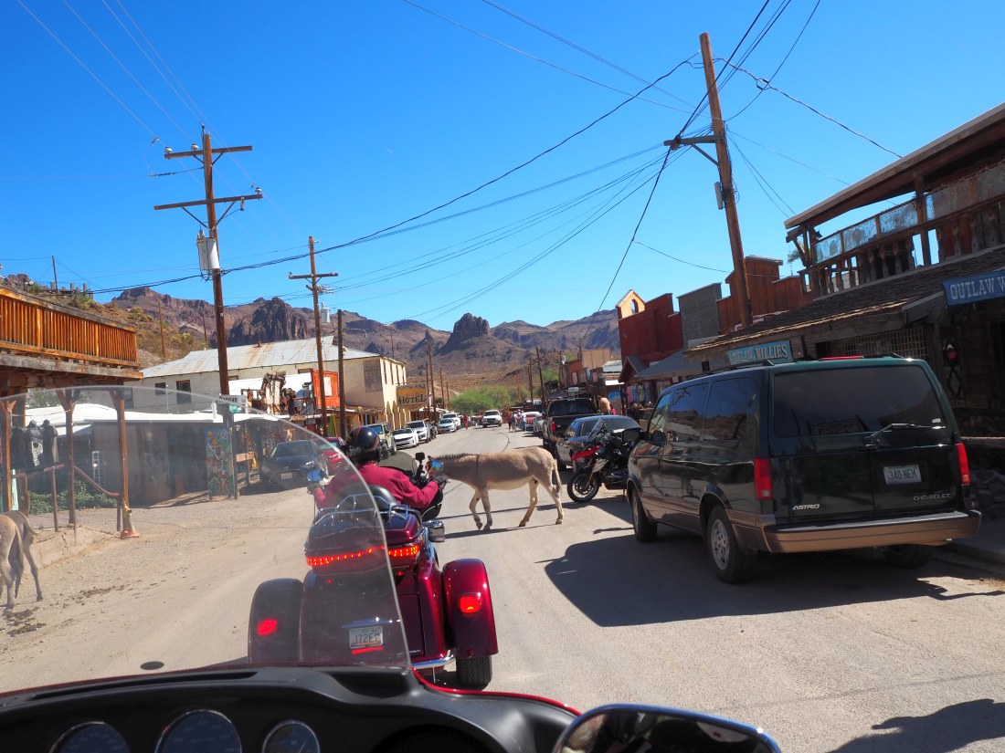102-burros%20crossing.png