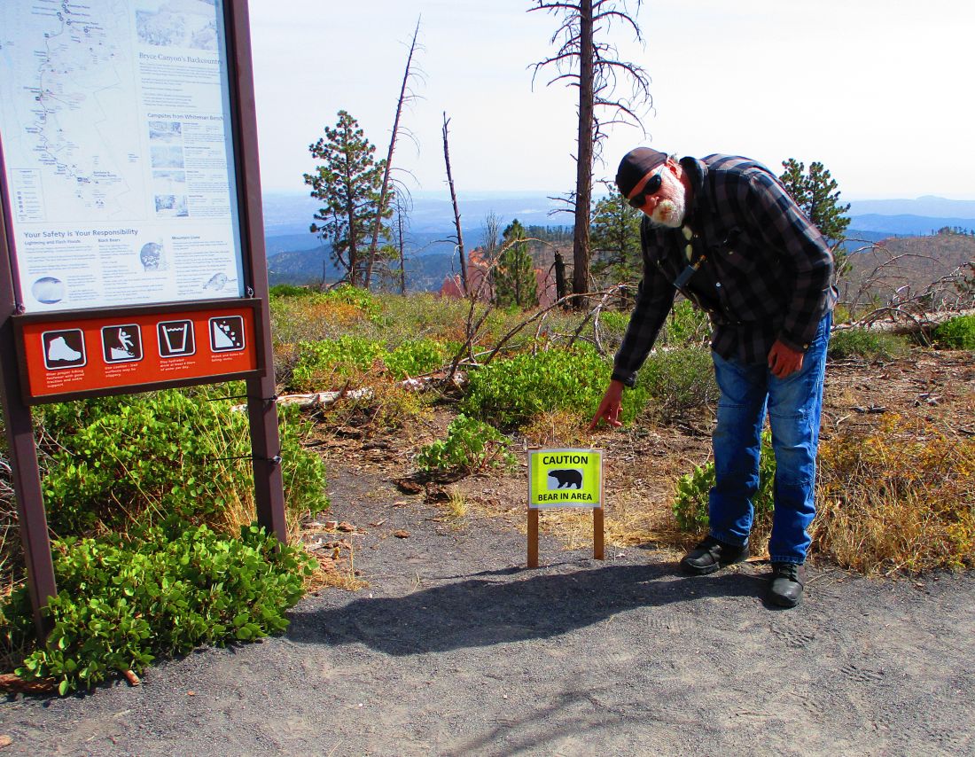 Whiteman%20Trail%201.jpg