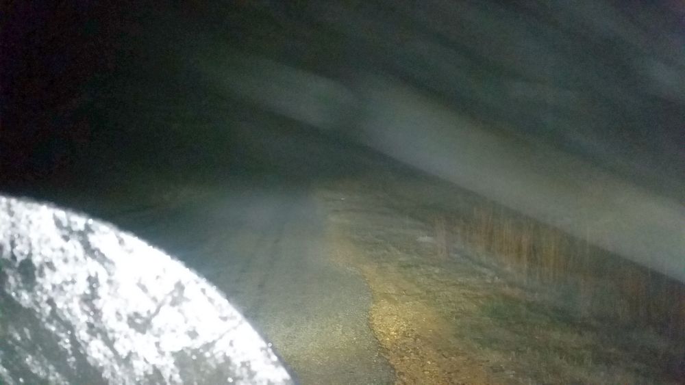 Fog.jpg