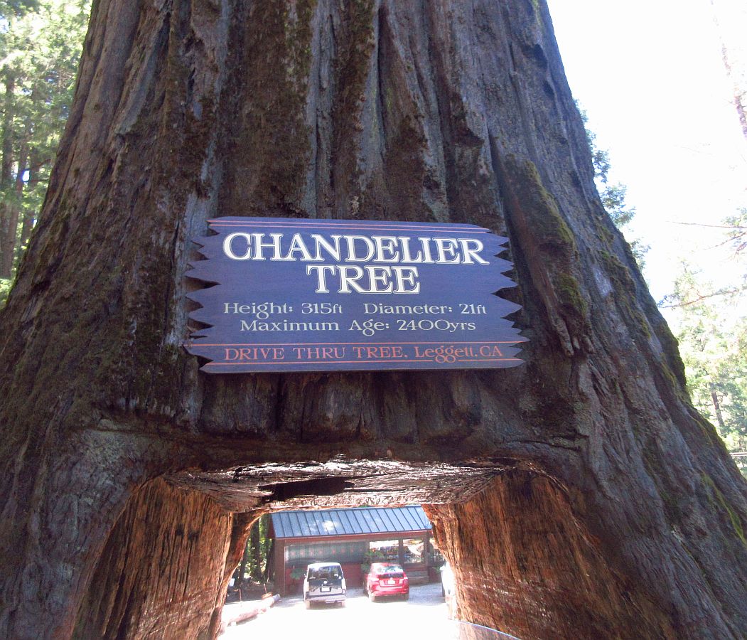 ct-13-sign.jpg