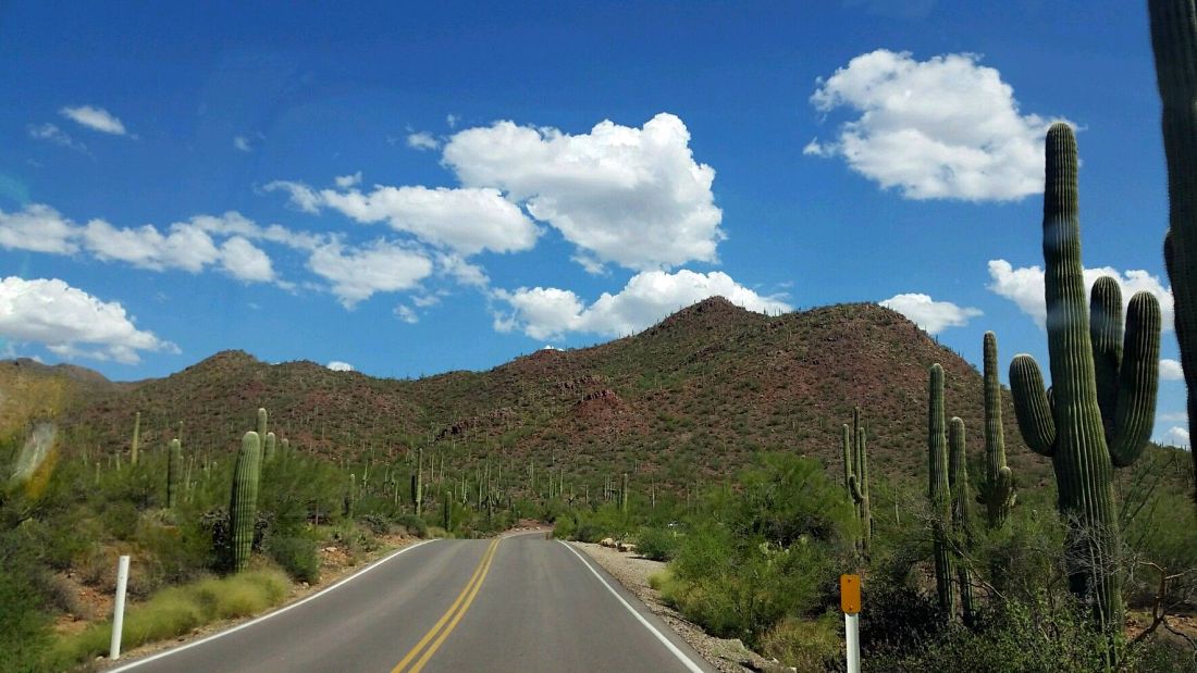 Saguaro%20Nat%20Park%201.jpg