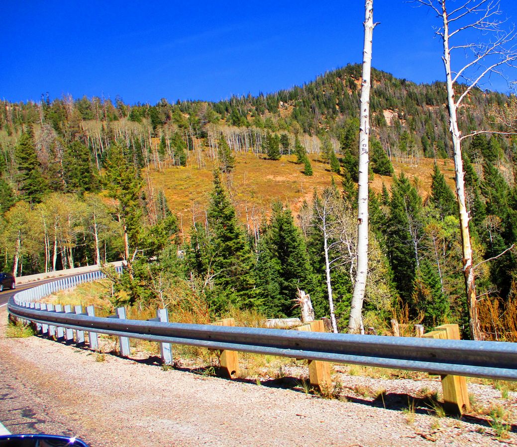 15-%2014%20new%20fav%20road.jpg
