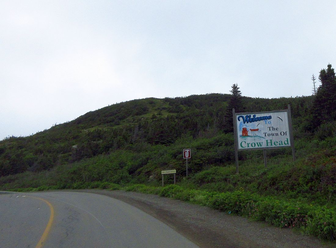 23-crowhead.jpg