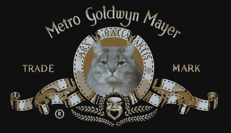j9RJN.gif