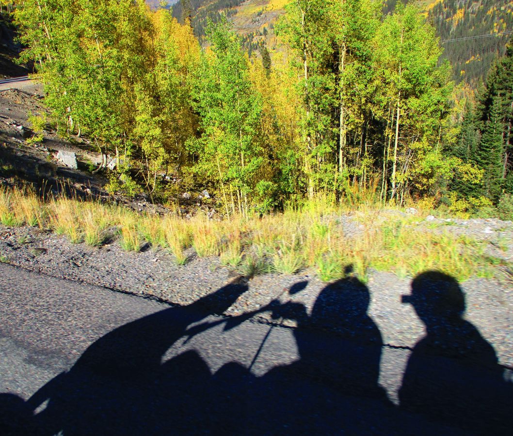 2-%20Shadow%20Pic.jpg