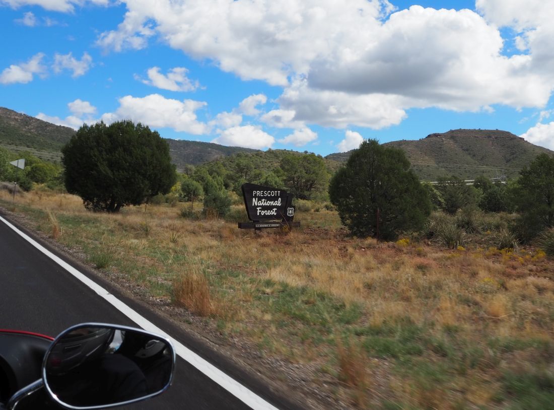 207-forrest.jpg