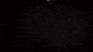 DK%20LOGO%20Gif%20ACL.gif