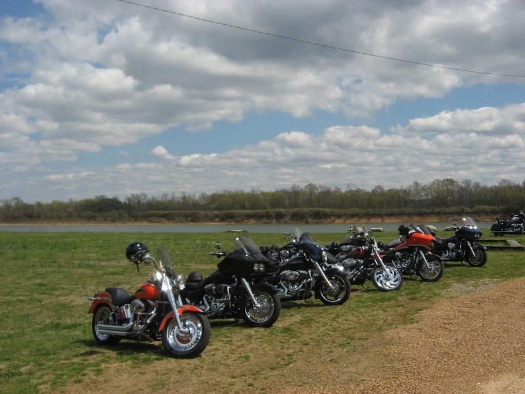 CATFISHHOTEL4-7-2013006_zpsb3406a24.jpg