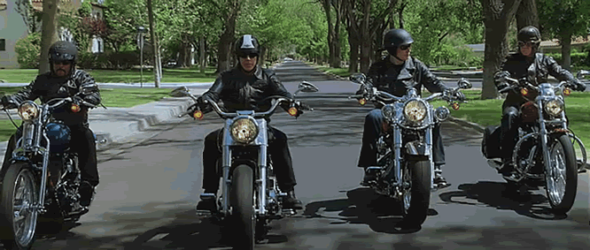 WildHogs.gif