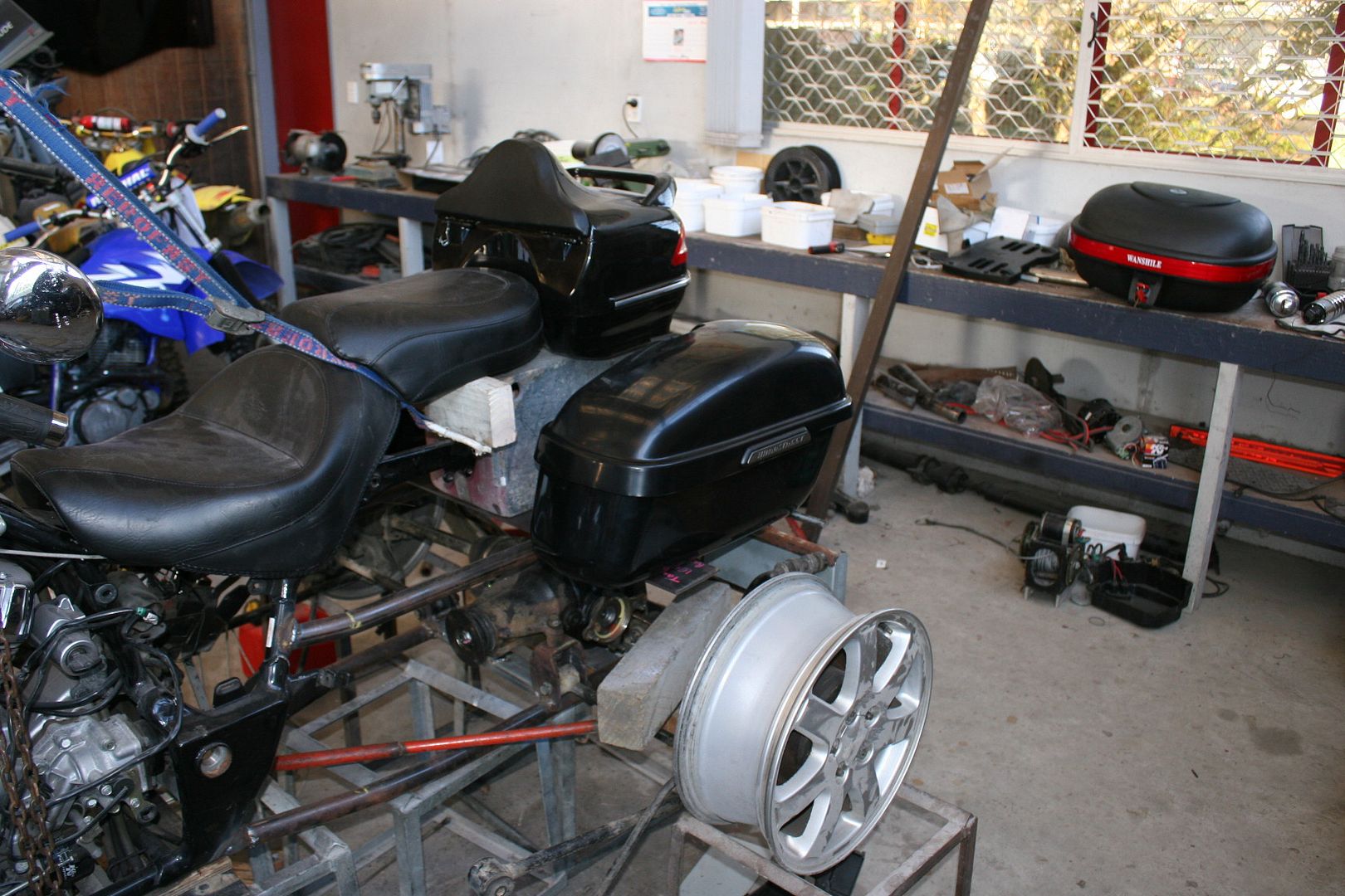 IMG_6459.jpg